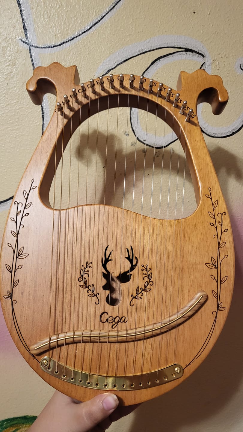 Customer photo review of NARA LYRE 16 String Mahogany w/Bag