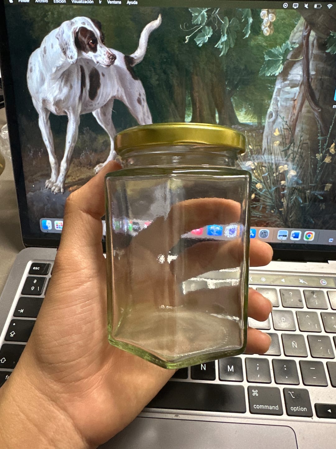 Customer photo review of Tarro Hexagonal de Vidrio