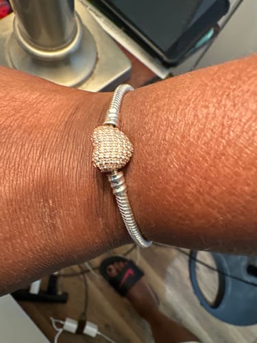 Customer photo review of Pandora Moments Bracelets