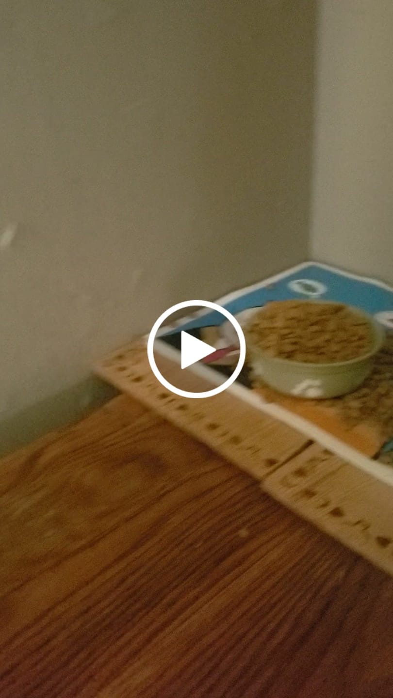Customer video review of Royal Canin Veterinary Diet - Urinary SO + Calm Dry Cat Food