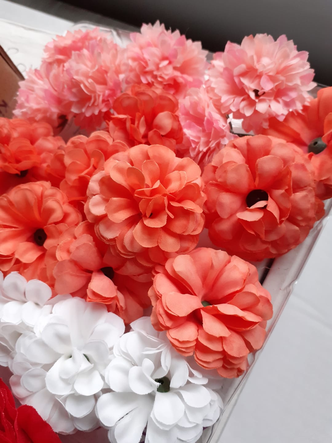 Customer photo review of "Brilliant Begonias" Forever Flowerz Starter Kit approx 30 Flowers