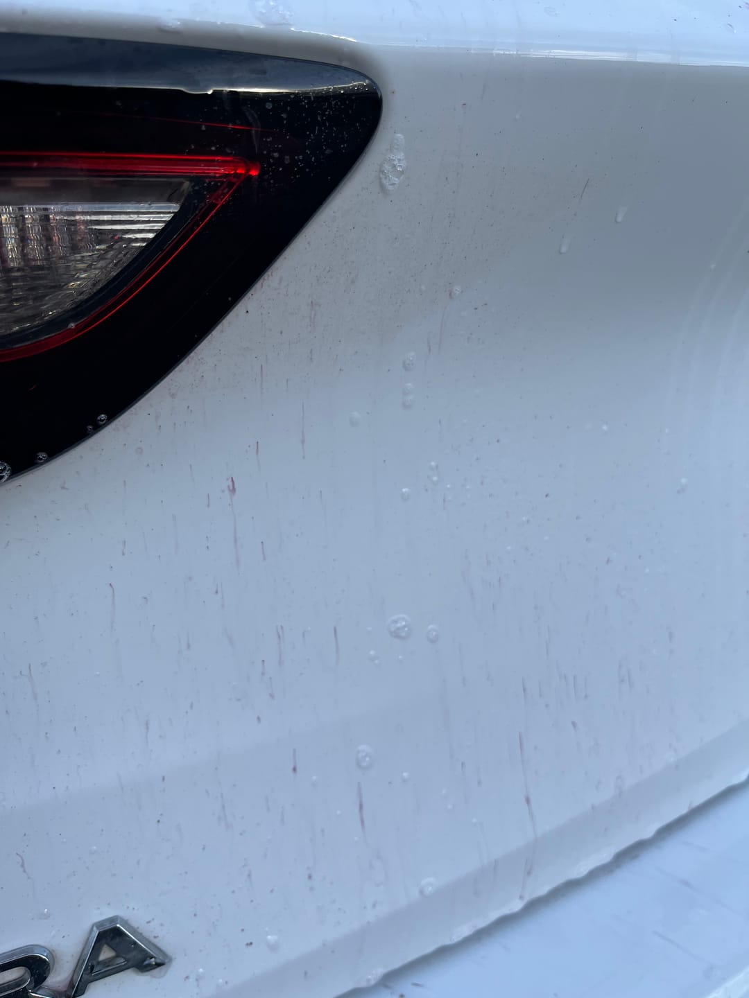 Customer photo review of AURORA - ADVANCED FALLOUT REMOVER