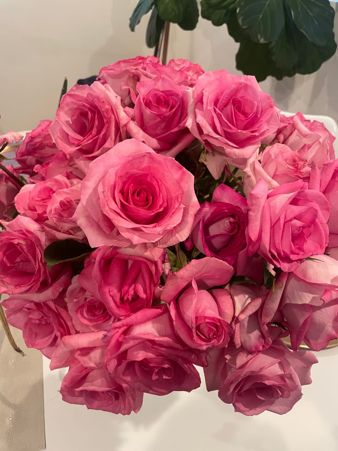 Customer photo review of 50 Stems Fresh Pink Roses
