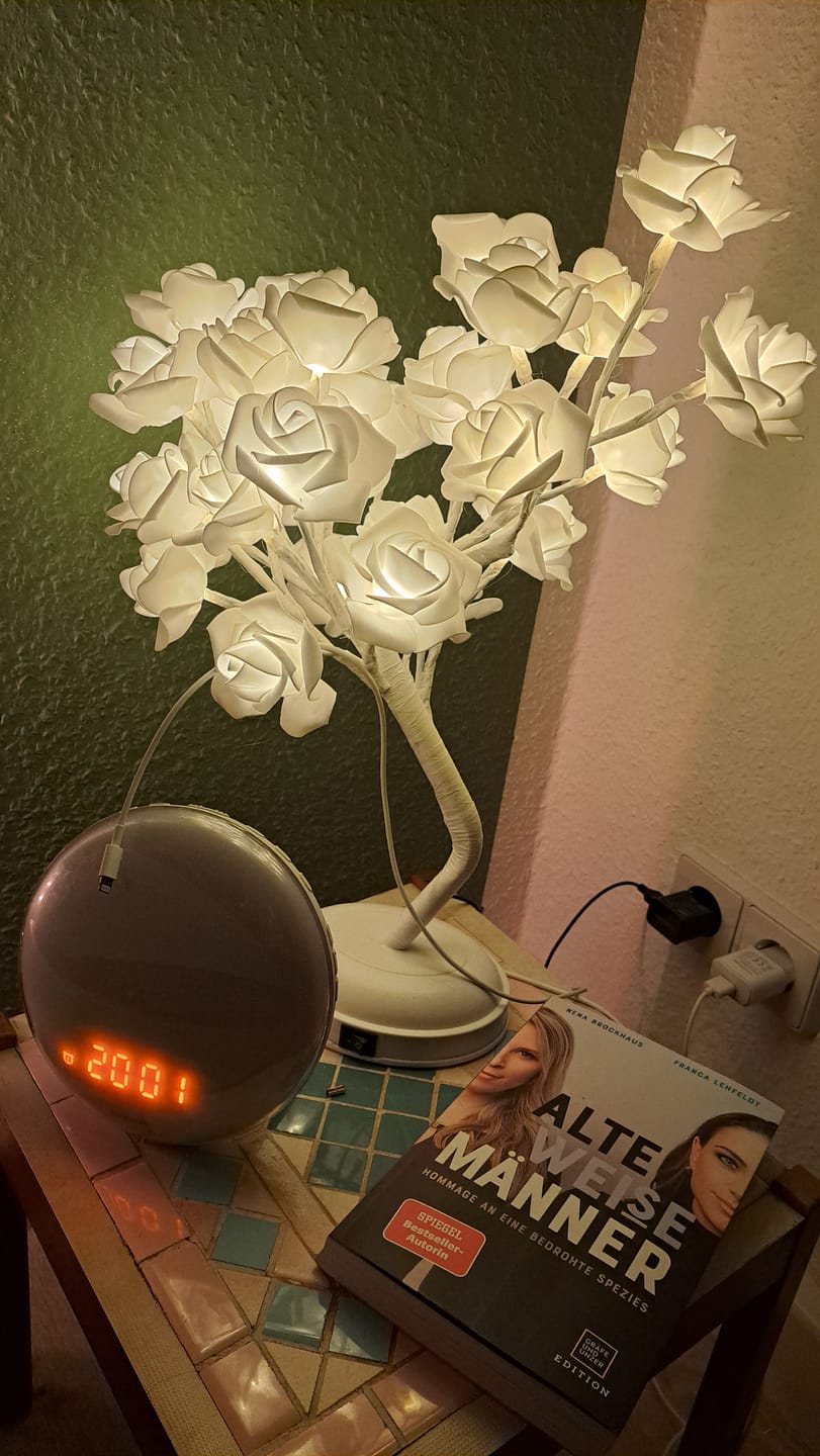 Customer photo review of Bäumlein® - mit 32 LED Rosen