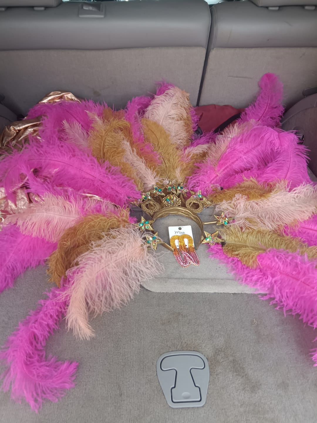 Customer photo review of Ostrich Blondene Floss Feathers