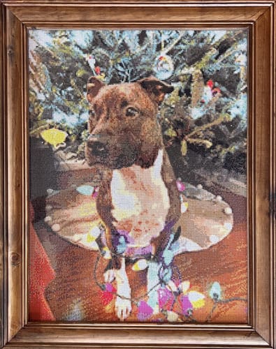 Customer photo review of Custom Diamond Painting Kits for Adults DIY 5D - Photo Diamond Art Shipped from USA