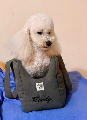 Customer photo review of Trasportino Mattias (Soft Touch) Grigio