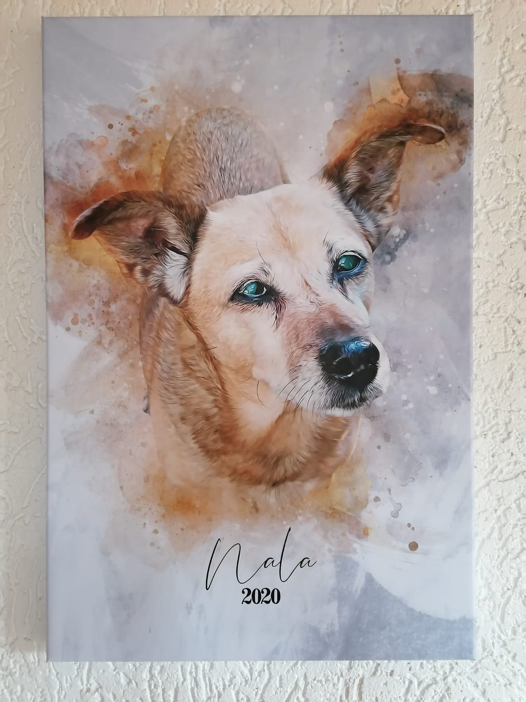 Customer photo review of Dein Hund als Aquarell Tierportrait | Geschenk für Hundebesitzer