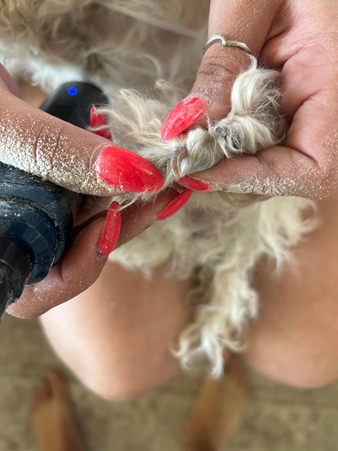 Customer photo review of The Original ClipMyPaws™ Painless Pet Nail Grinder That Doesn't Scare Your Pet