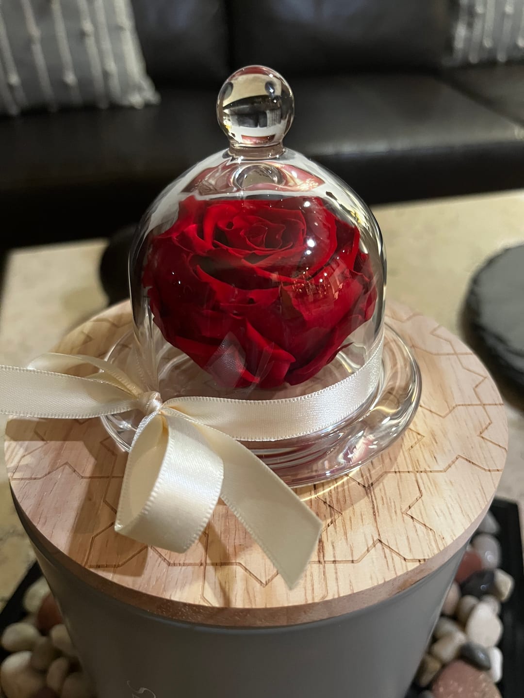 Customer photo review of Rosa Eterna Monet's con Capelo