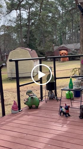 Customer video review of Horizontal Flat Rail Kit