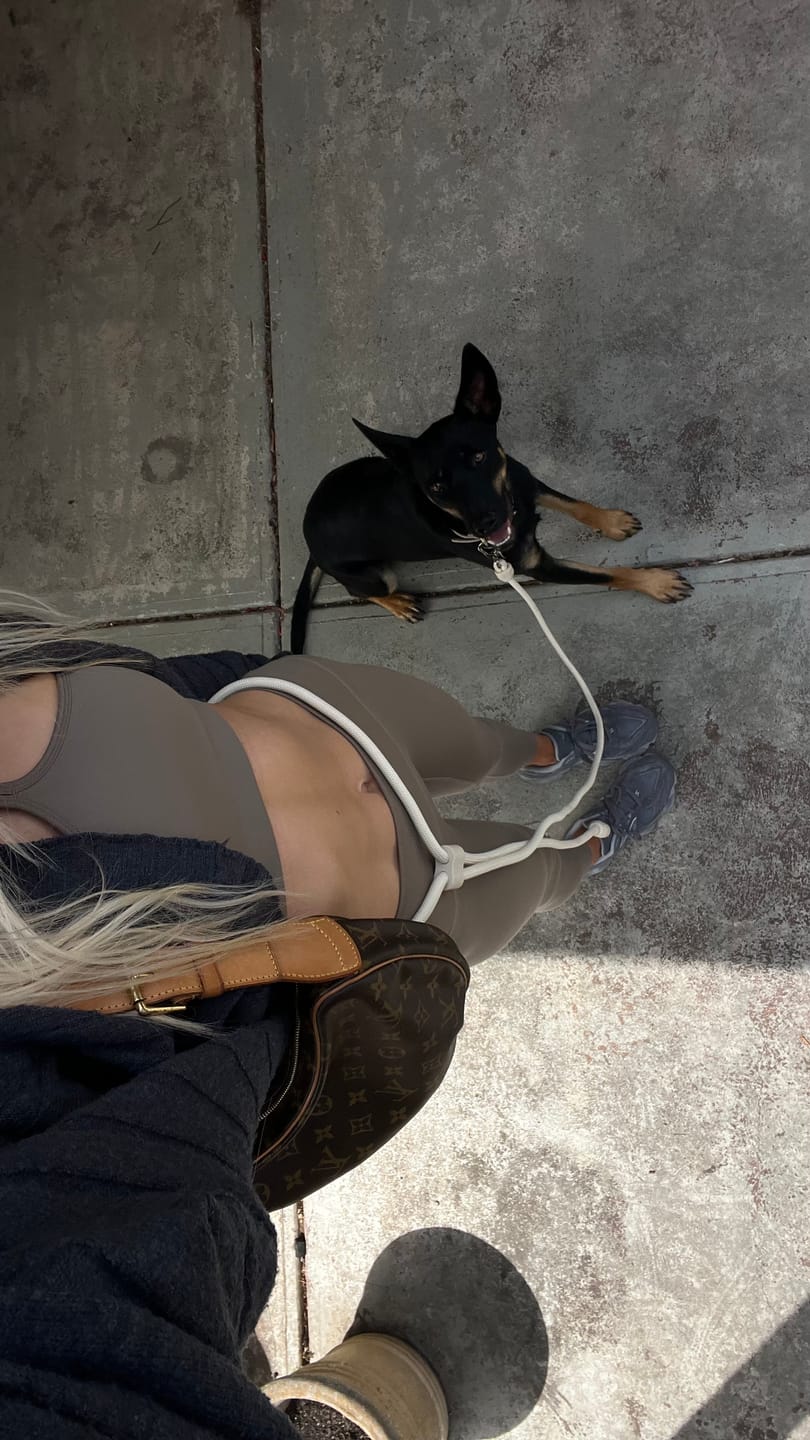 Customer photo review of HANDS-FREE LEAD