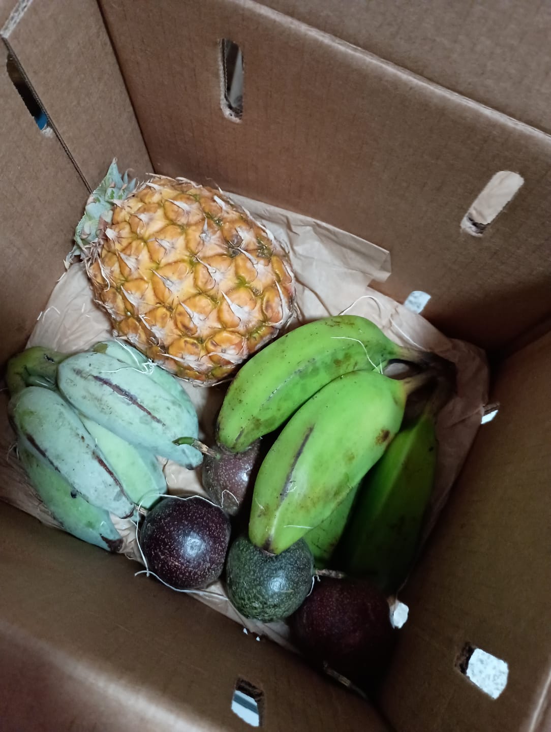 Customer photo review of Leftovers Box
