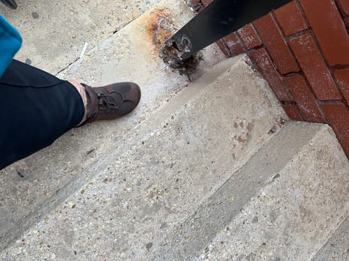 Customer photo review of Clog