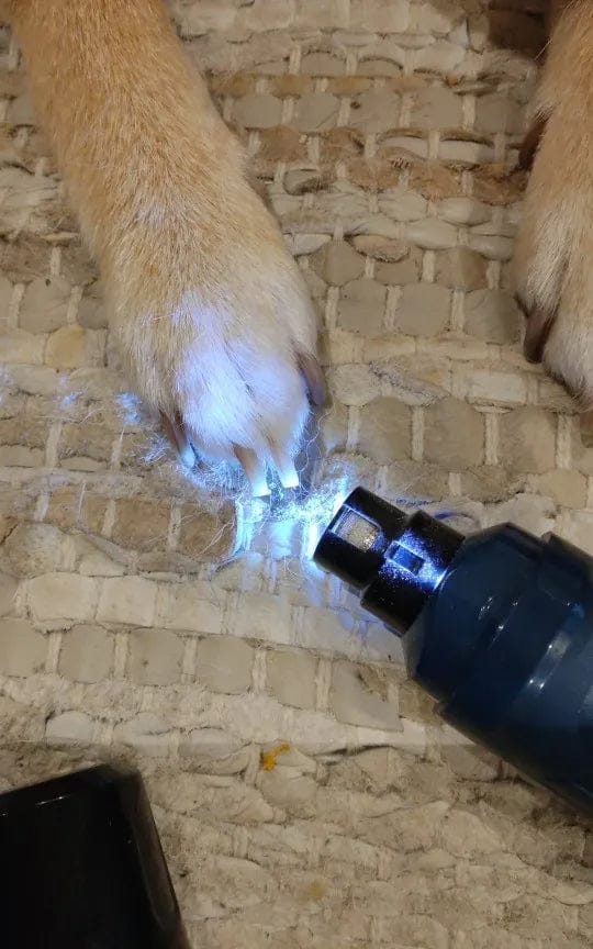 Customer photo review of The Original ClipMyPaws™ Painless Pet Nail Grinder That Doesn't Scare Your Pet