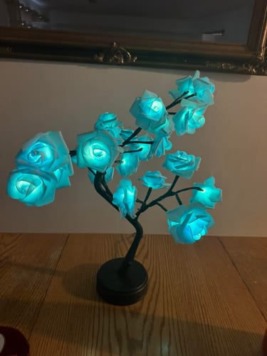 Customer photo review of Rose-Lit Bonsai Tree™