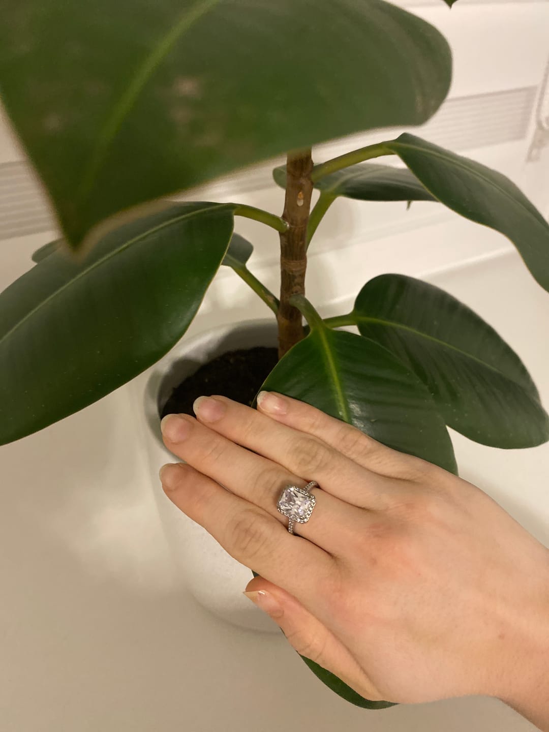 Customer photo review of Big Shine Ring | 18K vergoldet