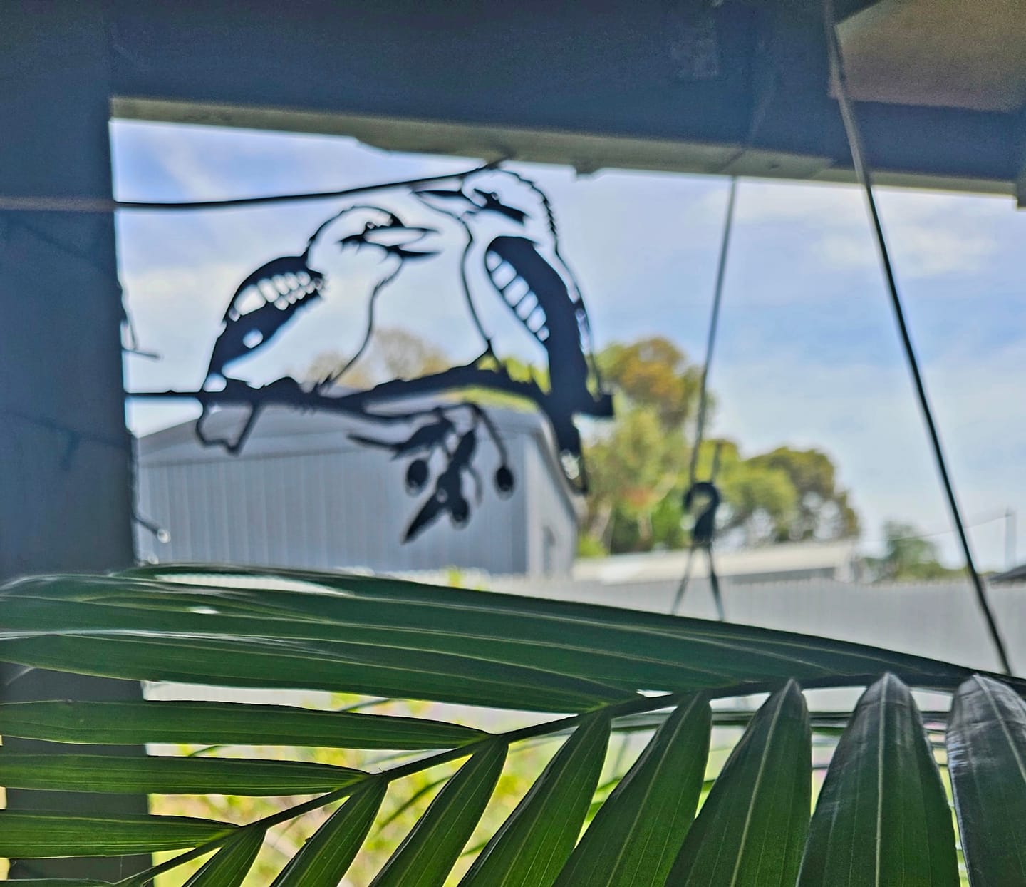 Customer photo review of Pair of Kookaburras