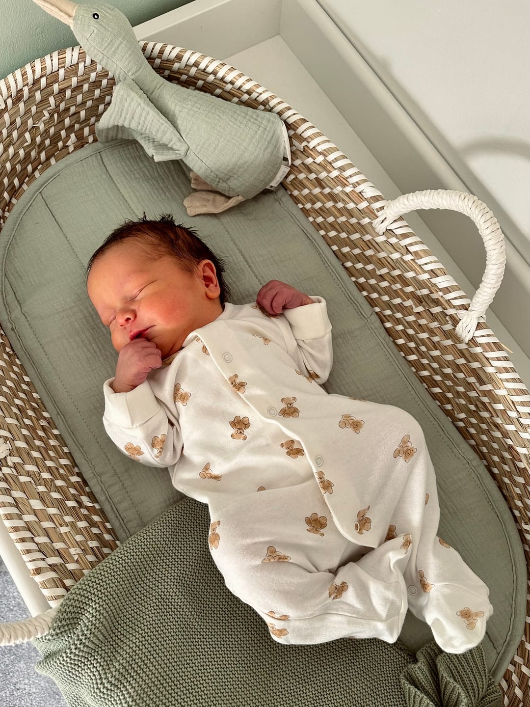 Customer photo review of Sea-Grass Baby Changing Basket