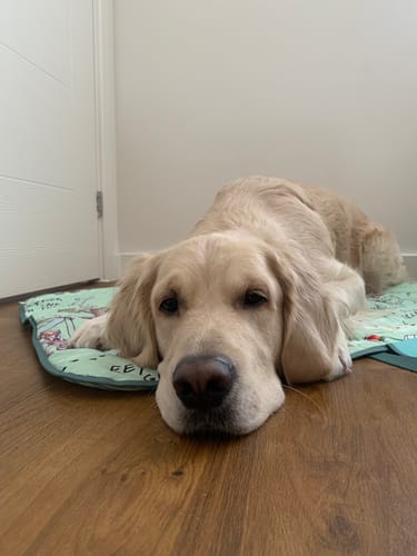 Customer photo review of Travel Mat - 100 Aker Wood