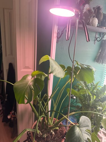 Customer photo of 28" Adjustable LED Plant Light from Dylan B.