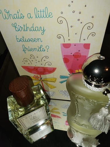 Customer photo review of V' alayered