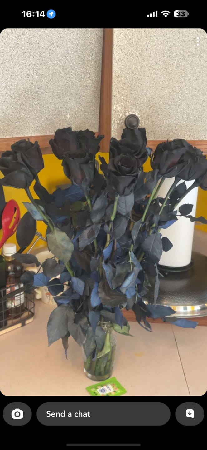 Customer photo review of Black Roses