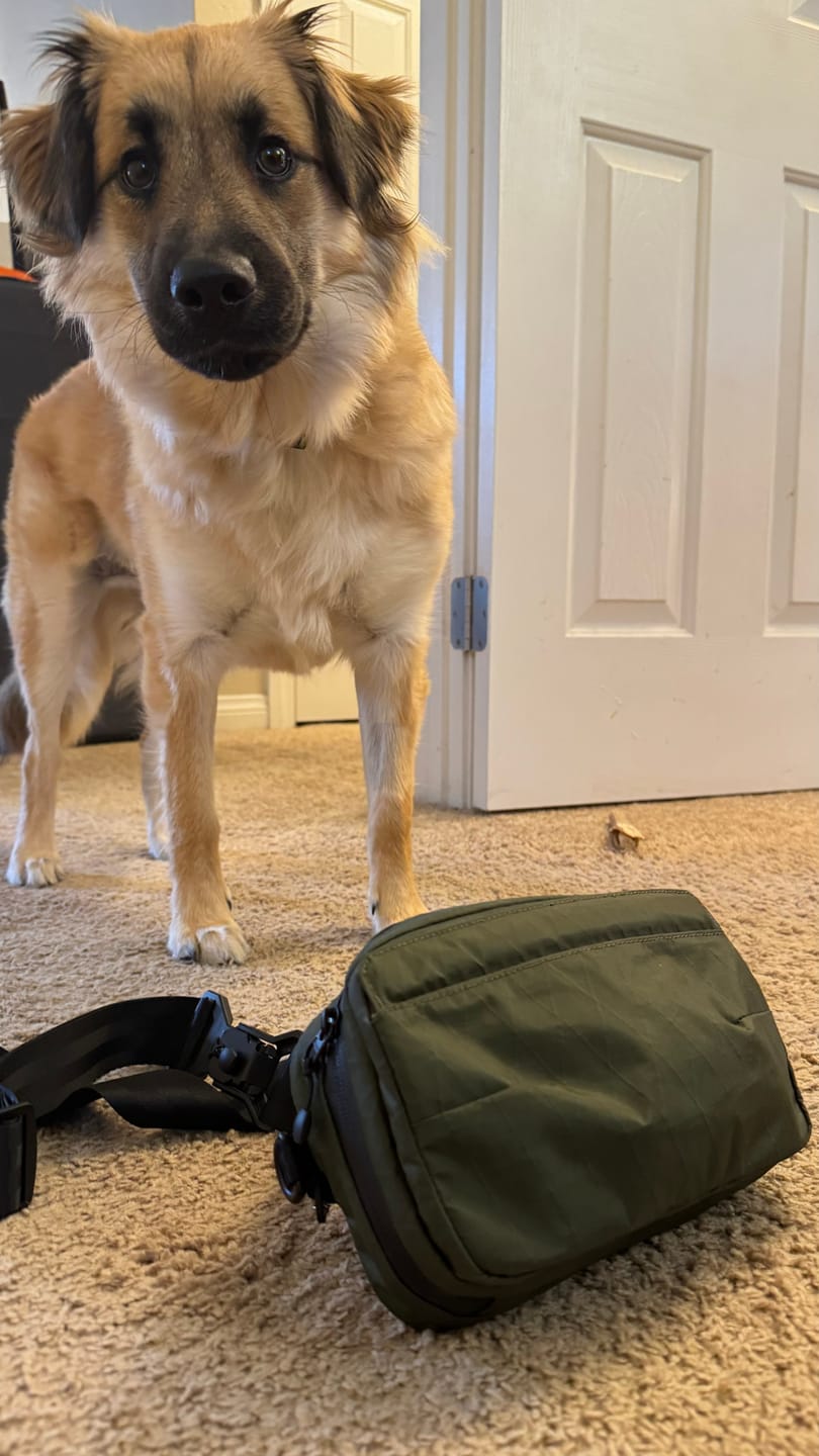 Customer photo review of Alpha Pack