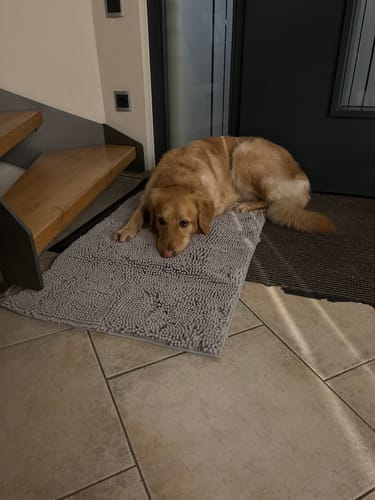 Customer photo review of Premium - CleanyMat