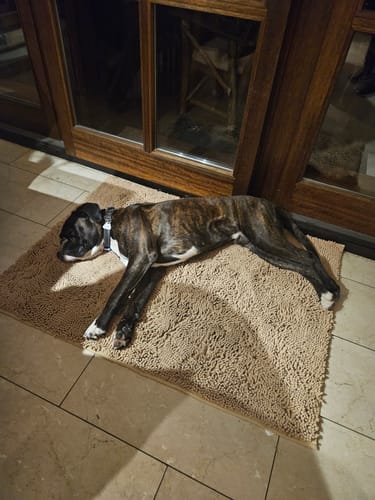 Customer photo review of Premium - CleanyMat