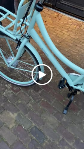 Customer video review of E-Cargo N3