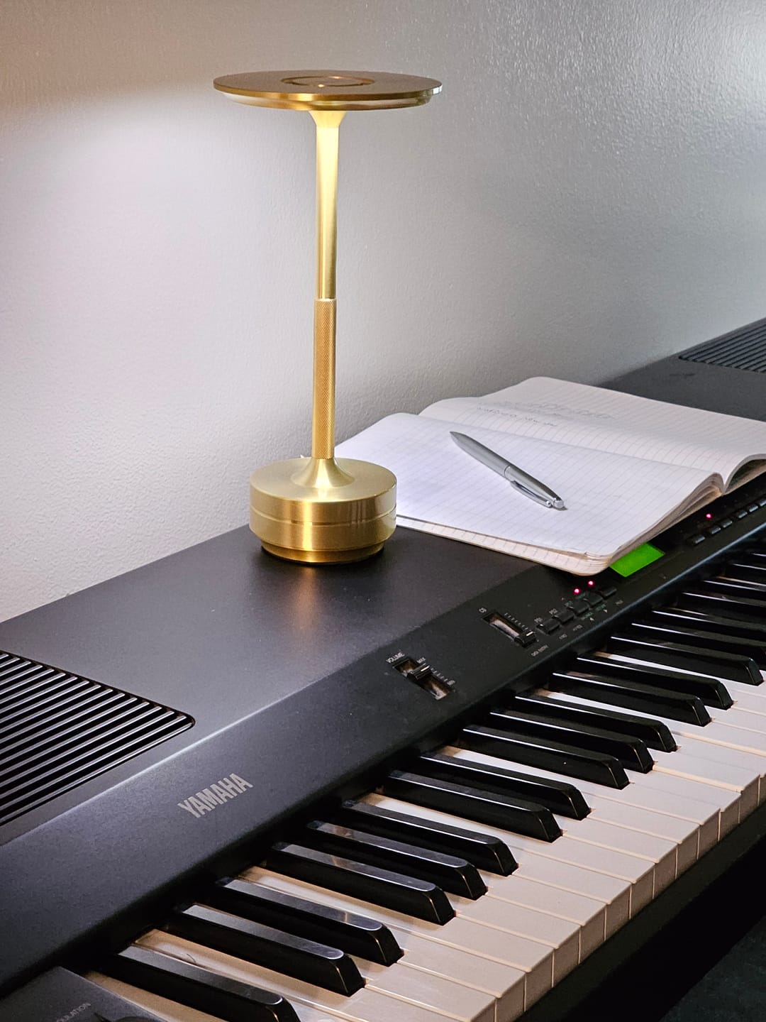 Customer photo review of Metallic Cordless Table Lamp