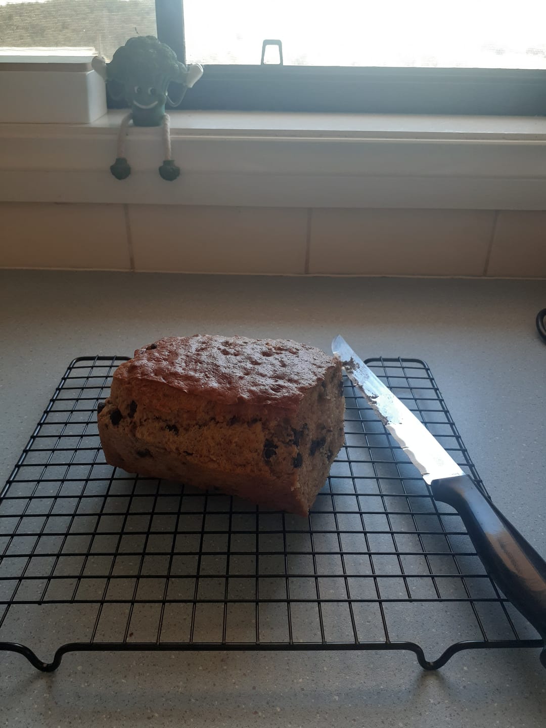 Customer photo review of krumbsco Lunchbox Bites Recipe Magnet - Banana Bread