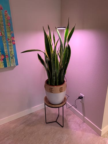 Customer photo of 28" Adjustable LED Plant Light from Cheryl S.