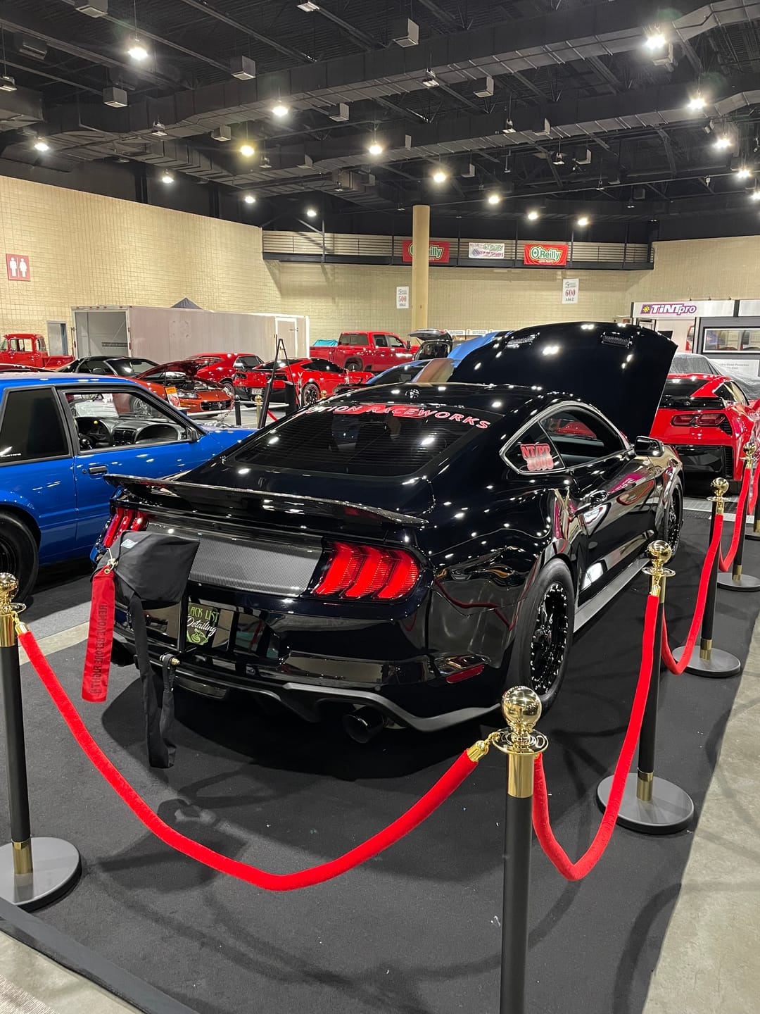 Customer photo review of 2015-22 Mustang S550 Parachute Mount 14-170