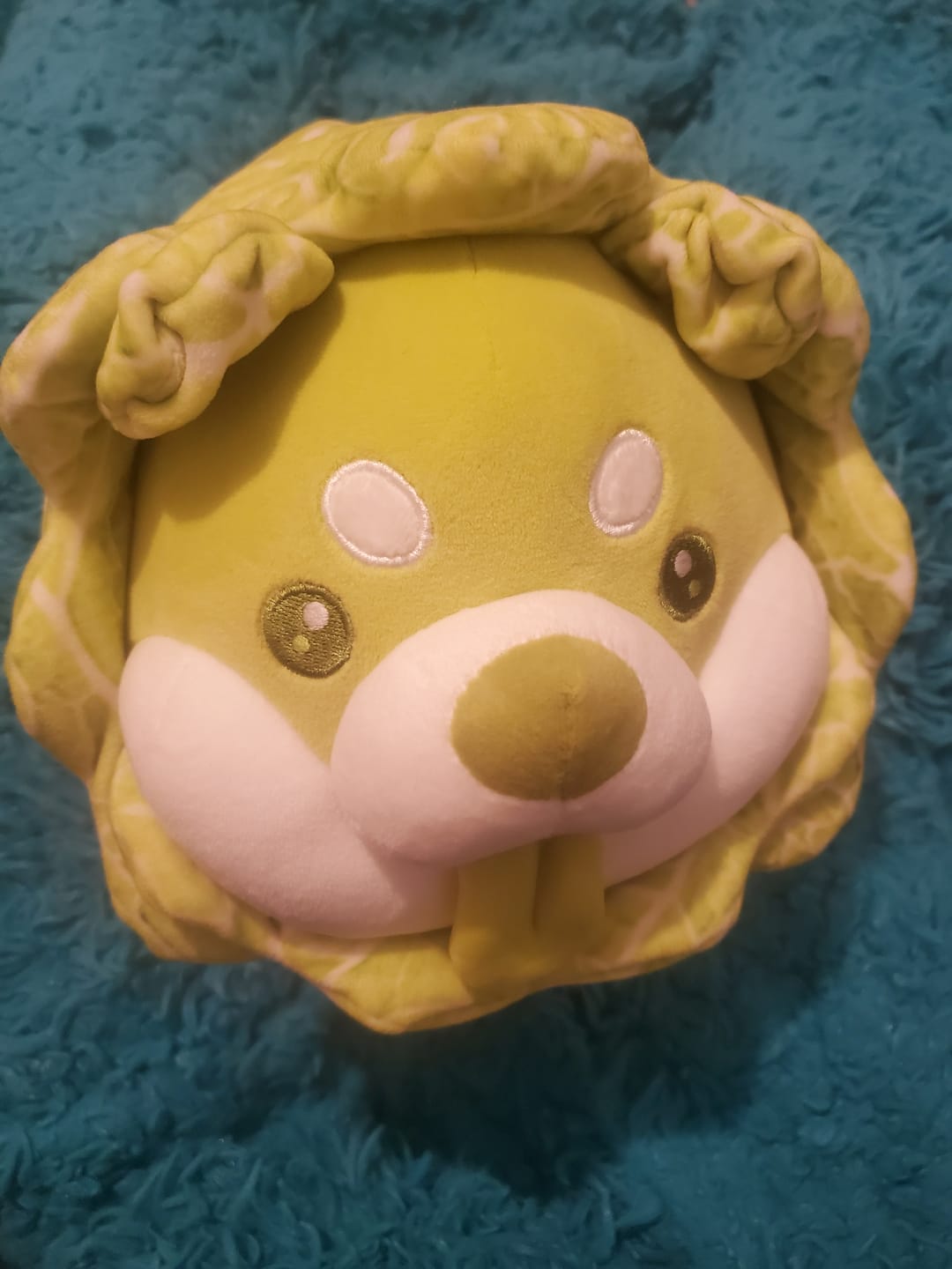 Customer photo review of Cabbage Corgi Plushies (5 SIZES)
