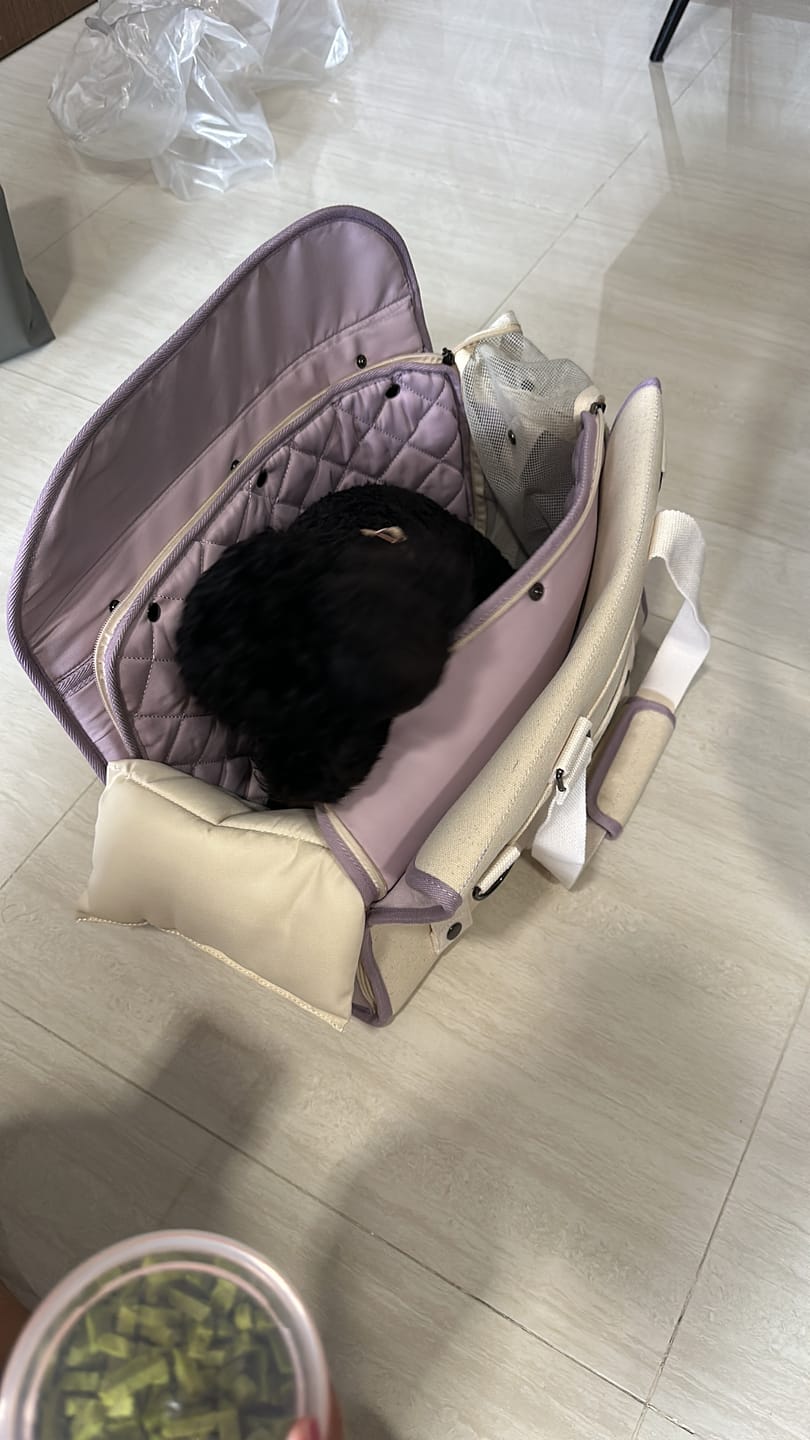 Customer photo review of Sunday Pet Bag
