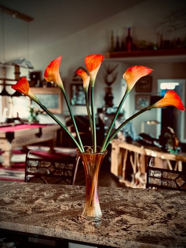 Customer photo review of Bulk 6 Pcs 25" Real Touch Calla Lily Spring Artificial Flowers Wholesale