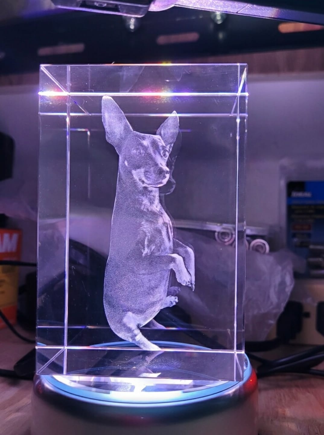Customer photo review of Custom Pet 3d Laser Crystal Photo Cube with Dog Portraits Memorial Gift