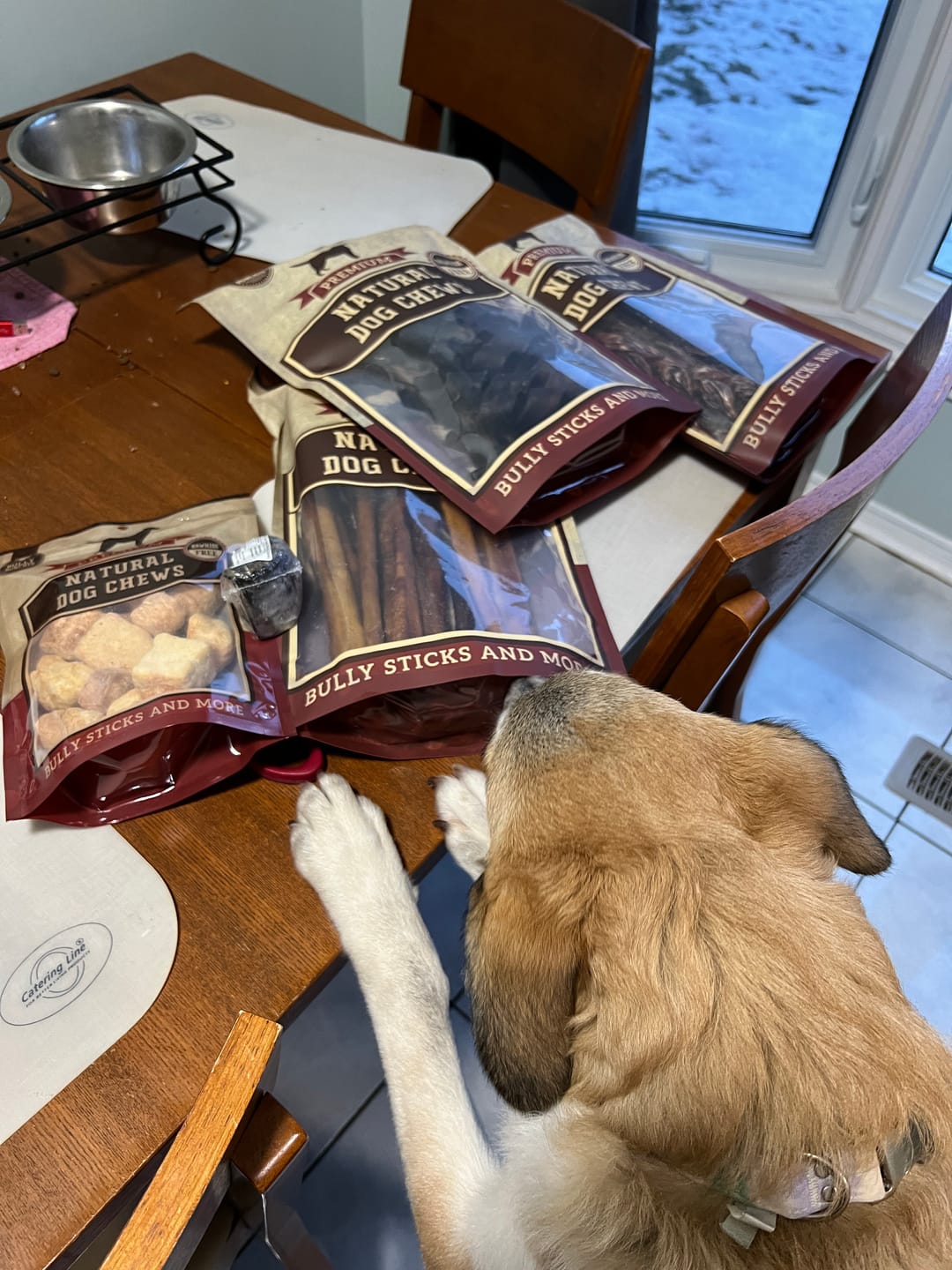 Customer photo review of 12 Inch Braided Jerky Stick