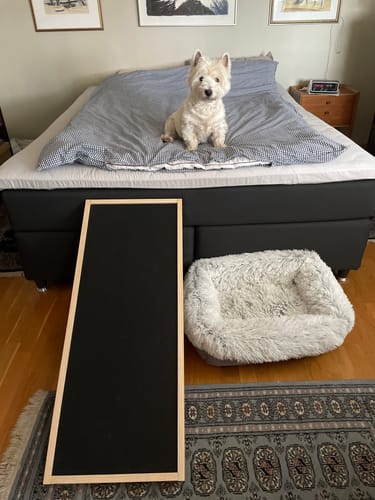 Customer photo review of CalmRamp