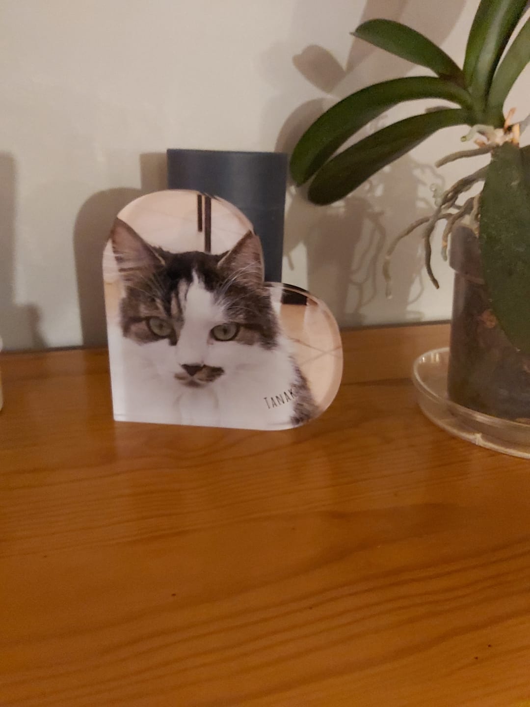 Customer photo review of Avec photo - Cœur en verre personnalisé