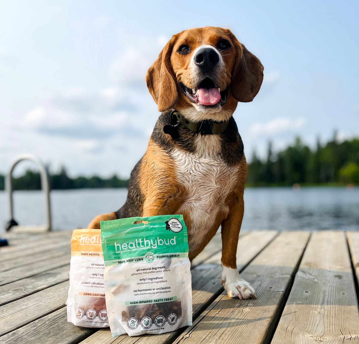 Customer photo review of Beef Lung Wafers
