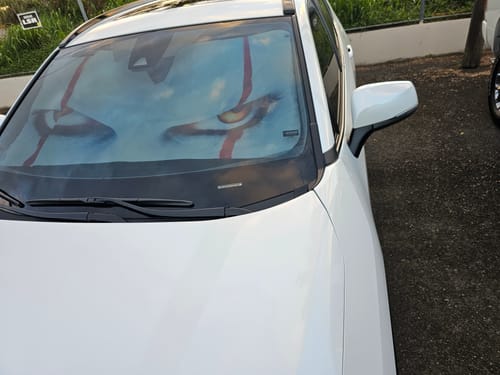 Customer photo review of Pennywise It Halloween Horror Movies Gift Custom Car Windshield Sun Shades