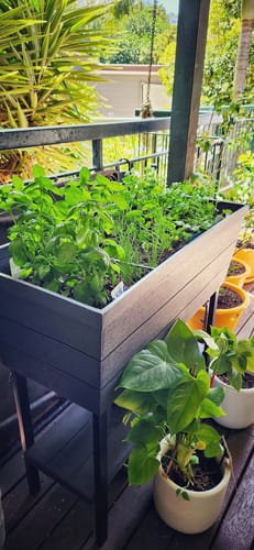 Customer photo review of Keter Urban Bloomer Grey 48L