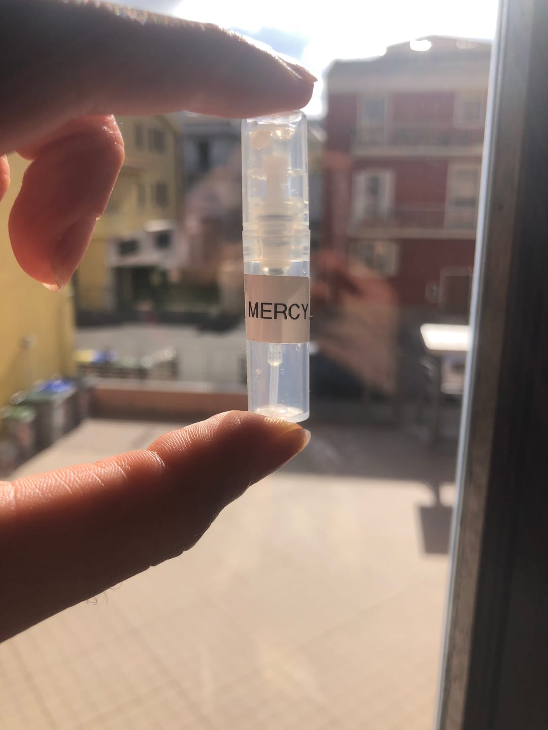 Customer photo review of THE SPIRIT OF KINGS -  MERCY