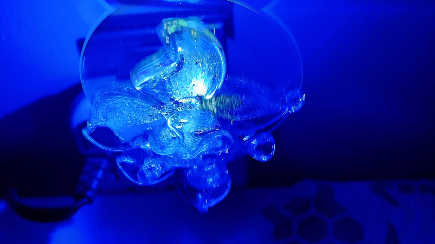 Customer photo review of Memorial Nightlight Flower with Cremation Ash