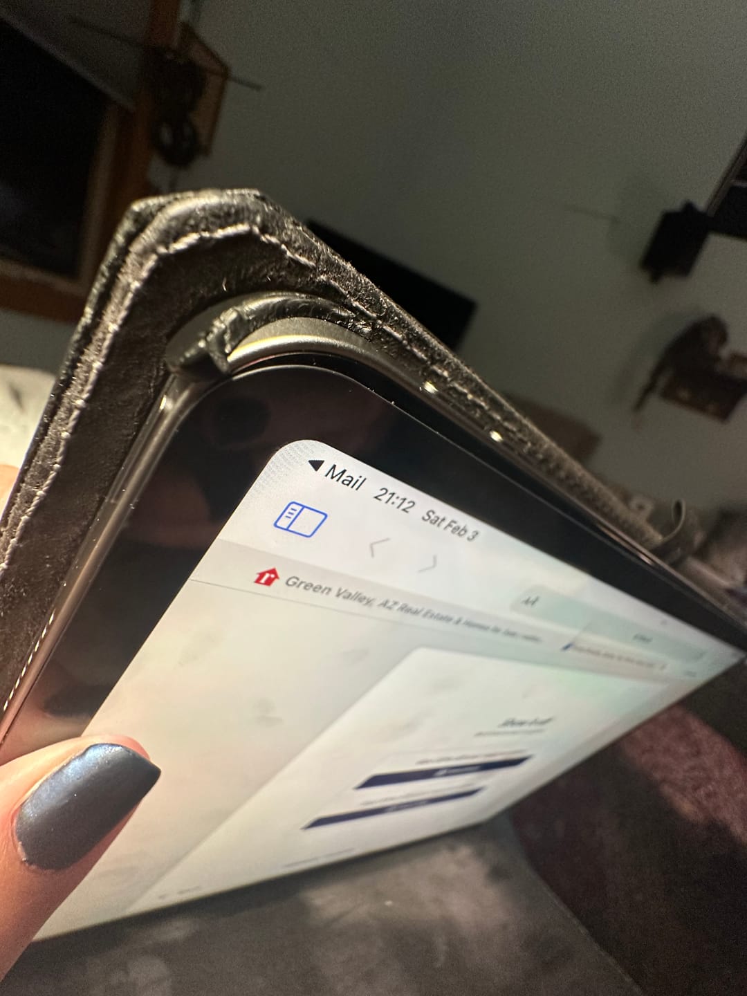 Customer photo review of Noblessa Leather iPad Case