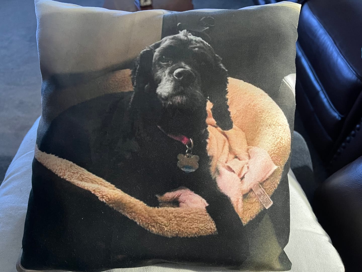 Customer photo review of Custom Photo Pillow with Your Dog Photos, Print Pet Photo on Pillow