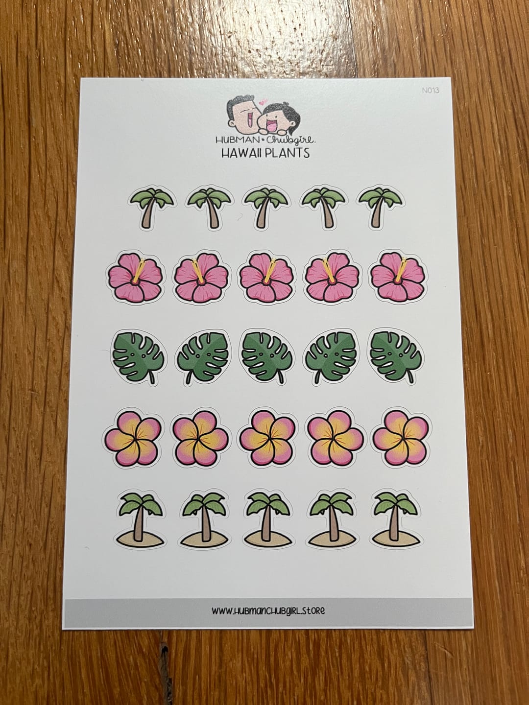 Customer photo review of Hawaii Plants Planner Stickers